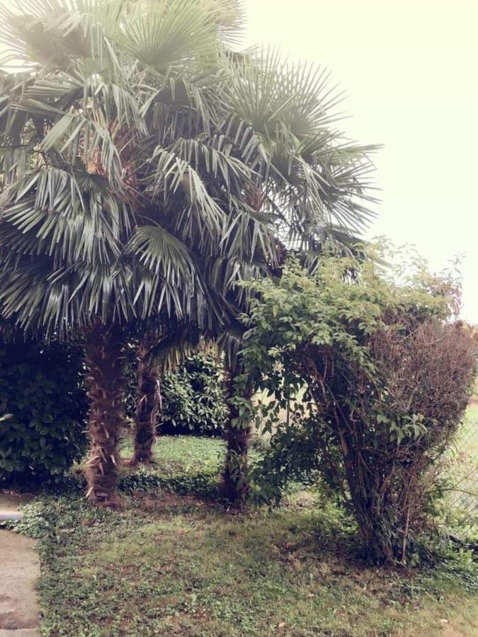 Villa Sofia Pramaggiore Exterior foto