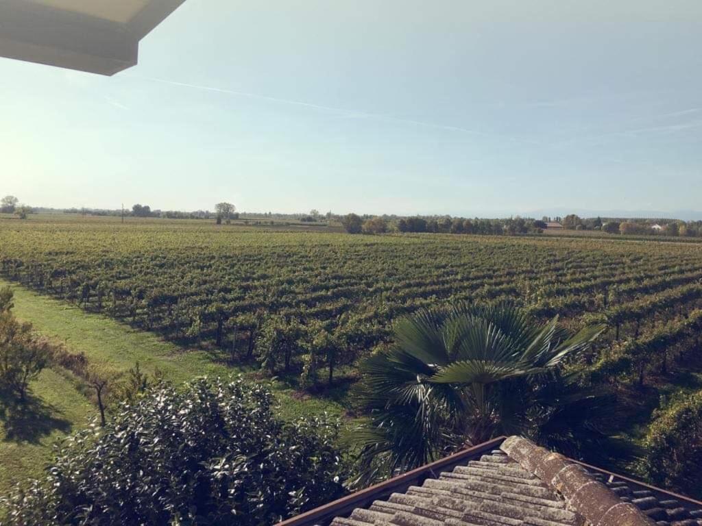 Villa Sofia Pramaggiore Exterior foto